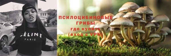 a pvp Арсеньев